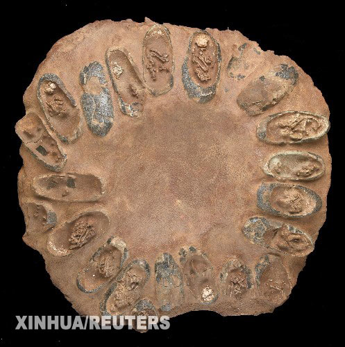 The 22 egg fossils date from 65 million years ago.