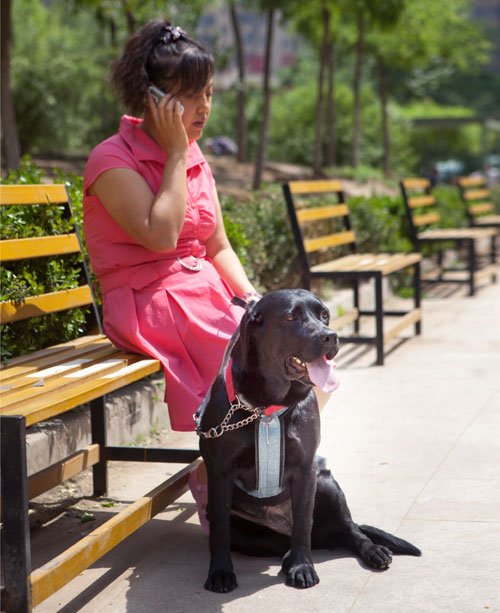 Chen Yan and her guide dog Jenny.