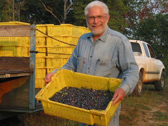 Sunda expects China's blueberry market to be very lucrative in the next decade.