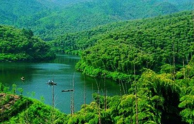 Anji's bamboo forest has appeared in numerous films and TV programs, including Crouching Tiger, Hidden Dragon, a movie which won an Oscar in 2000. [file photo] 