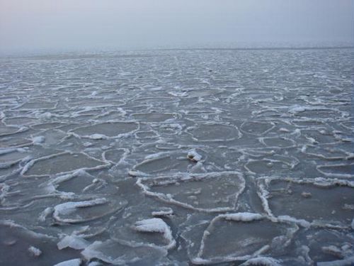 It's the freezing north, where the cold air has sealed northern Chinas Bohai gulf.