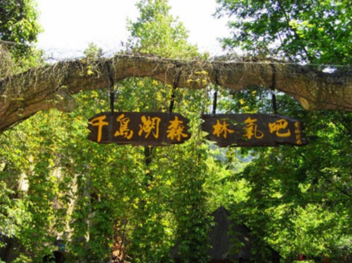 Qiandao Lake Forest Oxygen Bar has the best forest vegetation (the original sub-national and sub-tropical forest protected areas), the most beautiful natural scenery (forests, waterfalls, color rocks), and the best ecological environment (negative ion concentration is very high). It's a great destination for families who want to experience the freshness of nature. [Photo/Provided to Chinadaily.com.cn] 