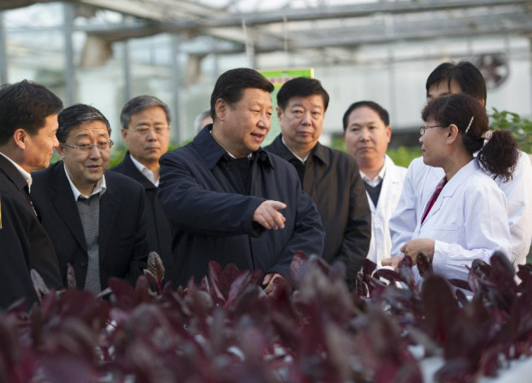 Xi stresses reform confidence