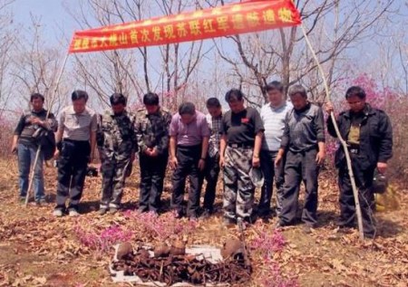 Remains of Russian soldiers' remains were found in 1992. 