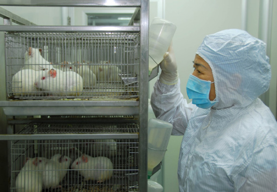 A veterinarian feeds mice at a lab operated by the Guangzhou Entry-Exit Inspection and Quarantine Bureau. (Photo/China Daily) A veterinarian feeds mice at a lab operated by the Guangzhou Entry-Exit Inspection and Quarantine Bureau. (Photo/China Daily)
