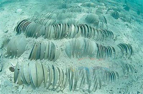 Underwater Treasure at the Xisha Archipelago Underwater Treasure at the Xisha Archipelago