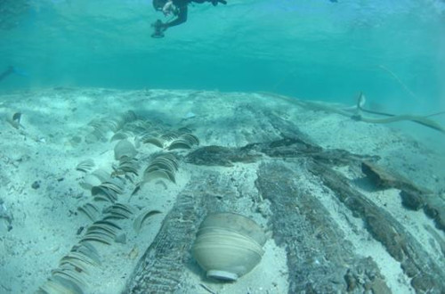 Underwater Treasure at the Xisha Archipelago Underwater Treasure at the Xisha Archipelago