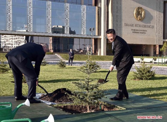Chinese President Xi Jinping (R) and Belarusian President Alexander Lukashenko plant a dragon spruce tree symbolizing the friendship between the two nations, in Minsk, capital of Belarus, May 10, 2015. (Xinhua/Li Tao) Chinese President Xi Jinping (R) and Belarusian President Alexander Lukashenko plant a dragon spruce tree symbolizing the friendship between the two nations, in Minsk, capital of Belarus, May 10, 2015. (Xinhua/Li Tao)