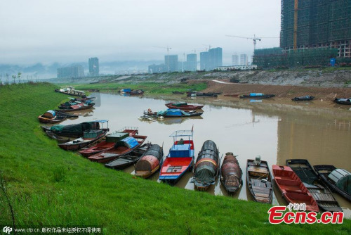 Photo taken on April 5, 2015 shows the recent heavy rainfall has turned the previously dried-up Poyang Lake in Jiujiang, East China's Jiangxi province into grassland. (Photo/CFP) Photo taken on April 5, 2015 shows the recent heavy rainfall has turned the previously dried-up Poyang Lake in Jiujiang, East China's Jiangxi province into grassland. (Photo/CFP)