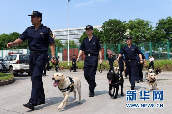 Photo taken on June 15 shows sniffer dogs in Guangzhou. (Photo/Xinhua) Photo taken on June 15 shows sniffer dogs in Guangzhou. (Photo/Xinhua)