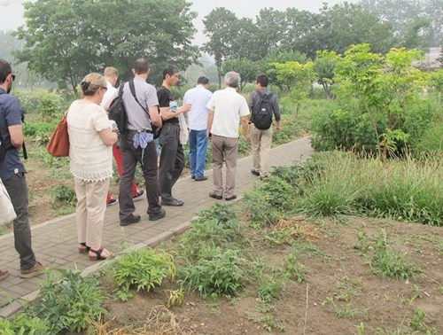 TCM practioners from overseas visit the TCM museum in a Beijing hospital and a medicinal plant garden in Beijing. Photo provided to chinadaily.com.cn TCM practioners from overseas visit the TCM museum in a Beijing hospital and a medicinal plant garden in Beijing. Photo provided to chinadaily.com.cn