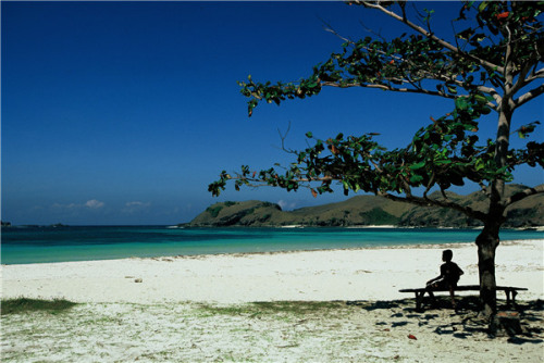 Bali is the most popular site among Chinese visitors to Indonesia. (Photo provided to China Daily)