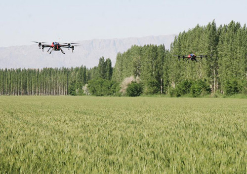 Drones fly over a wheat field to spray insecticide at a farm of the Xinjiang Production and Construction Corps in Bayan Gol Mongolian autonomous prefecture, Northwest China's Xinjiang Uygur autonomous region, June 9, 2015. (Photo/Xinhua) Drones fly over a wheat field to spray insecticide at a farm of the Xinjiang Production and Construction Corps in Bayan Gol Mongolian autonomous prefecture, Northwest China's Xinjiang Uygur autonomous region, June 9, 2015. (Photo/Xinhua)