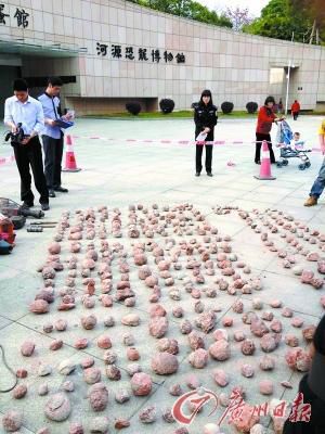 Fossilized dinosaur eggs seized by police.(Photo/Guangzhou Daily) Fossilized dinosaur eggs seized by police.(Photo/Guangzhou Daily)