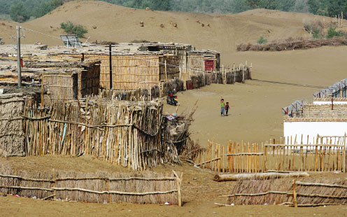 Local people use the wood of the desert poplar to build houses in Daliyabuyi, Hotan prefecture, the Xinjiang Uygur autonomous region. It's prohibitively expensive to transport building materials to the desert township because it is not connected to the outside world by road. Photos by Wang Zhuangfei / China Daily Local people use the wood of the desert poplar to build houses in Daliyabuyi, Hotan prefecture, the Xinjiang Uygur autonomous region. It's prohibitively expensive to transport building materials to the desert township because it is not connected to the outside world by road. Photos by Wang Zhuangfei / China Daily