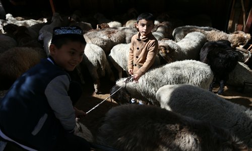 Kids play in a temporary sheep pen on Thursday. Muslims in Xinjiang celebrated the Eid al-Adha feast, an important Muslim holiday, on Thursday. Photo: Cui Meng/GT Kids play in a temporary sheep pen on Thursday. Muslims in Xinjiang celebrated the Eid al-Adha feast, an important Muslim holiday, on Thursday. Photo: Cui Meng/GT