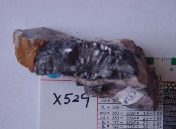 A piece of ore containing metallic uranium. (photo by chief scientist Li Ziying) A piece of ore containing metallic uranium. (photo by chief scientist Li Ziying)
