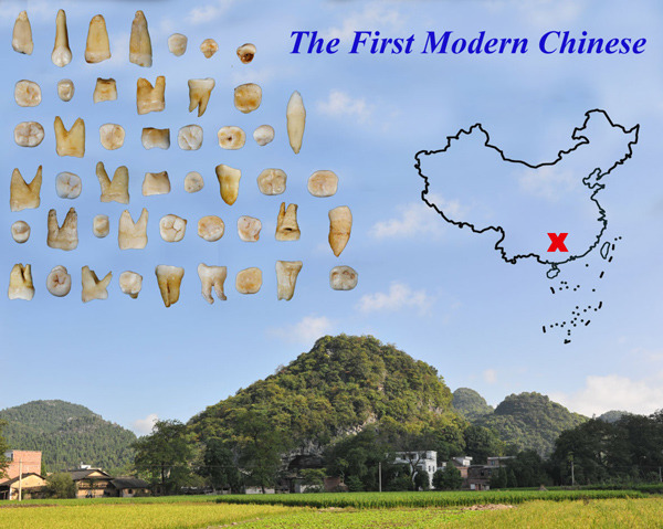 Some of the 47 human teeth discovered in a cave in Hunan province. (Photo/China Daily) Some of the 47 human teeth discovered in a cave in Hunan province. (Photo/China Daily)
