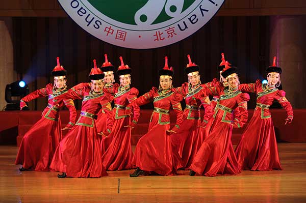 (Photo provided to China Daily) (Photo provided to China Daily)