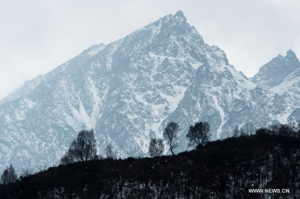 Photo taken on Oct 30,2015, shows the scenery of Qunjia National Forest Park in Northwest China's Qinghai province. As winter falls, snow cloaked the forest park. (Photo/Xinhua) Photo taken on Oct 30,2015, shows the scenery of Qunjia National Forest Park in Northwest China's Qinghai province. As winter falls, snow cloaked the forest park. (Photo/Xinhua)