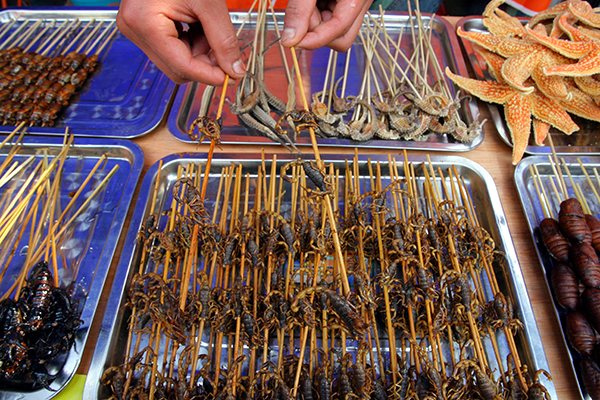 A street vendor in Nanjing, Jiangsu province, sells various fried insects.(Photo provided to China Daily) A street vendor in Nanjing, Jiangsu province, sells various fried insects.(Photo provided to China Daily)