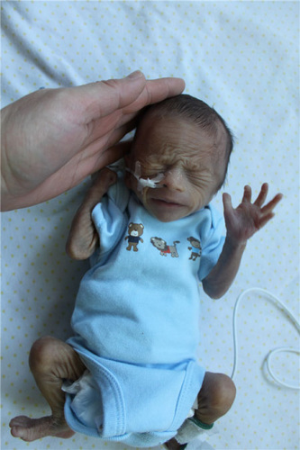 When Xiao Long was first picked up by Little Flower, he just weighed 930 grams 10 days after born. (Photo Provided To China Daily) When Xiao Long was first picked up by Little Flower, he just weighed 930 grams 10 days after born. (Photo Provided To China Daily)