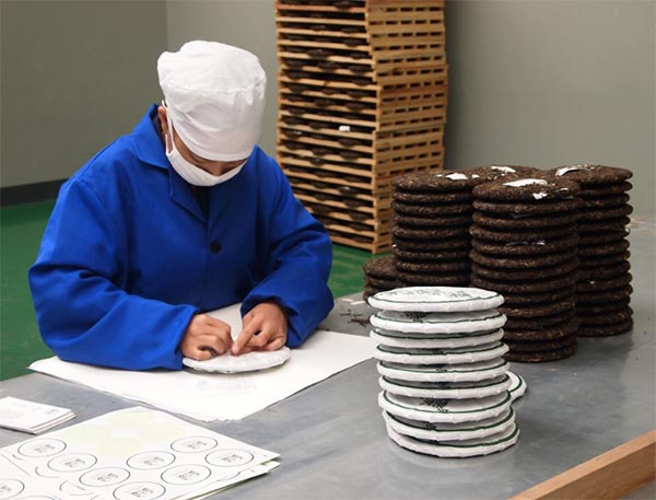 A worker packs Pu'er tea in a factory of Yunnan Chazu Tea Co. Ltd in Pu'er, Nov 8, 2015. (Photo by Liu Xiaozhuo/chinadaily.com.cn) A worker packs Pu'er tea in a factory of Yunnan Chazu Tea Co. Ltd in Pu'er, Nov 8, 2015. (Photo by Liu Xiaozhuo/chinadaily.com.cn)