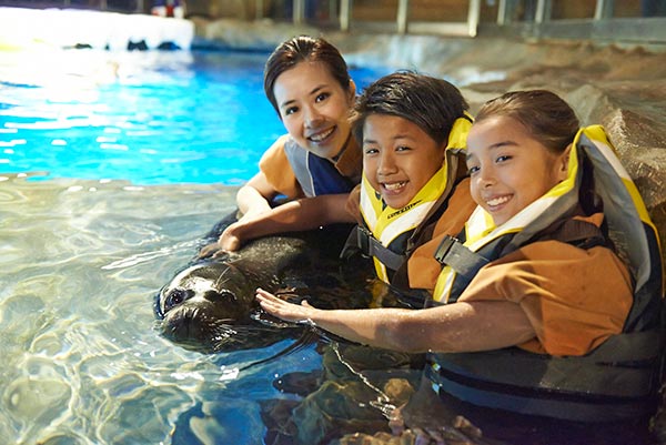 The "Get Closer to the Animals" programmes allows visitors to learn more about animal and environmental conservation. (Photo provided to China Daily) The "Get Closer to the Animals" programmes allows visitors to learn more about animal and environmental conservation. (Photo provided to China Daily)