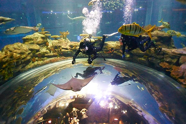 Grand Aquarium Scuba Diving. (Photo provided to China Daily) Grand Aquarium Scuba Diving. (Photo provided to China Daily)