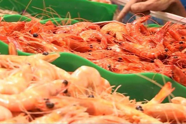 The Sydney Fish Market expects to sell 130 tonnes of prawns in the lead up to Christmas. (Photo/ABC News) The Sydney Fish Market expects to sell 130 tonnes of prawns in the lead up to Christmas. (Photo/ABC News)