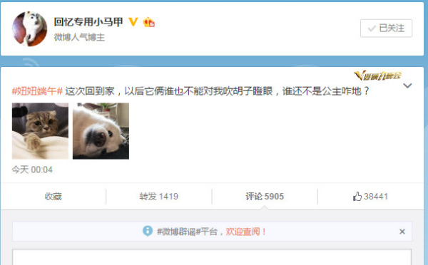 Famous Micro-blogger "Huiyi Zhuanyong Xiaomajia" gets more than 5900 comments for a single tweet about his cat and dog. Famous Micro-blogger "Huiyi Zhuanyong Xiaomajia" gets more than 5900 comments for a single tweet about his cat and dog.