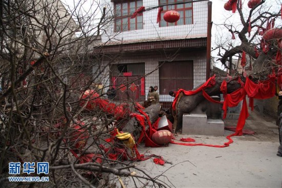 1,000-year-old tree felled after it was struck by a truck. (Photo/Xinhua) 1,000-year-old tree felled after it was struck by a truck. (Photo/Xinhua)