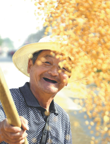 A farmer sunbakes his wheat harvest in Liaocheng, Shandong province.(Photo/China Daily) A farmer sunbakes his wheat harvest in Liaocheng, Shandong province.(Photo/China Daily)