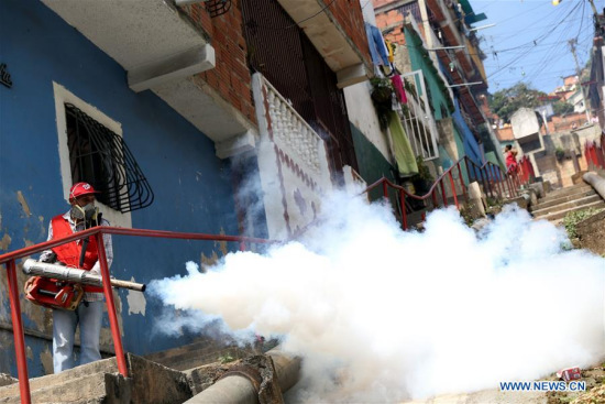 A health employee takes part in a spraying day against the Aedes Aegypty mosquito in El Valle in Caracas, capital of Venezuela, Jan. 28, 2016. (Photo: Xinhua/Fausto Torrealba/AVN) A health employee takes part in a spraying day against the Aedes Aegypty mosquito in El Valle in Caracas, capital of Venezuela, Jan. 28, 2016. (Photo: Xinhua/Fausto Torrealba/AVN)
