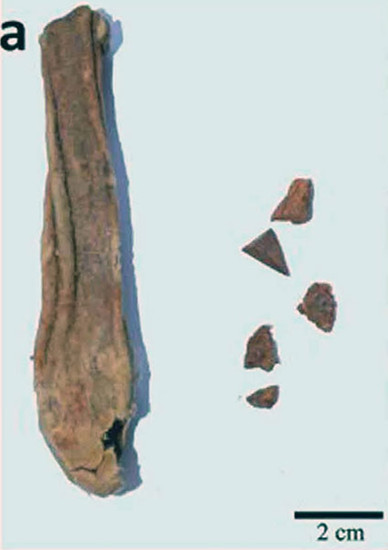 A leather bag and cosmetic sticks have been excavated from Xiaohe Cemetery. (Photo/China Daily) A leather bag and cosmetic sticks have been excavated from Xiaohe Cemetery. (Photo/China Daily)