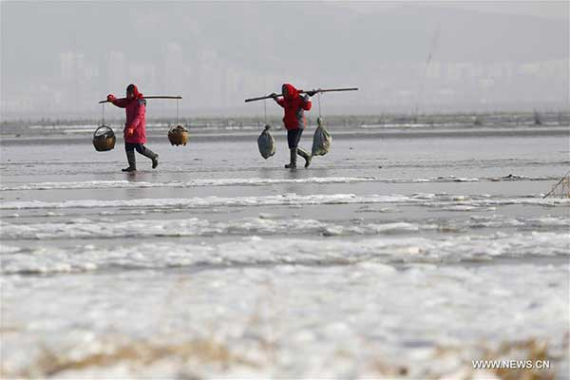 Local fishermen walk on the frozen sea in Lianyungang, East China's Jiangsu province, Jan 19, 2016. (Photo/Xinhua) Local fishermen walk on the frozen sea in Lianyungang, East China's Jiangsu province, Jan 19, 2016. (Photo/Xinhua)