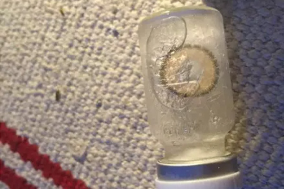 A cosmetic lens purchased online is frozen. (Photo/weibo.com) A cosmetic lens purchased online is frozen. (Photo/weibo.com)