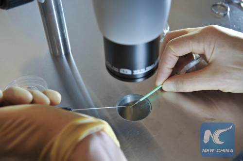 This Aug. 8, 2008 file photo, shows embryos being placed onto a CryoLeaf ready for instant freezing using the vitrification process. 