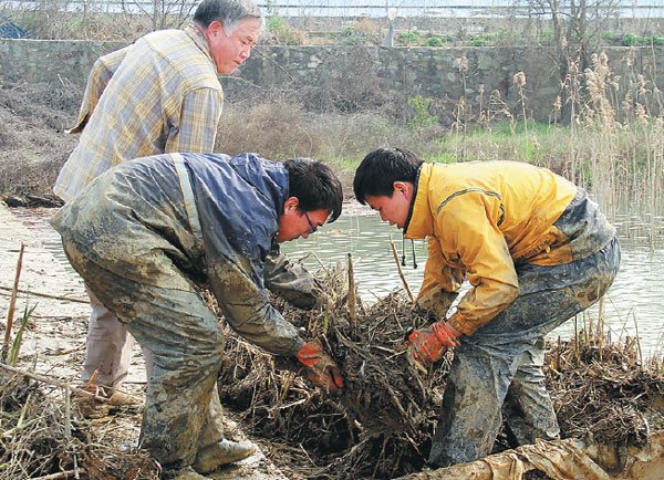 Yu Dan (left) and two students move seedlings for replantation in another part of the lake as part of an ecosystem restoration experiment in 2014. (Photo provided to China Daily) Yu Dan (left) and two students move seedlings for replantation in another part of the lake as part of an ecosystem restoration experiment in 2014. (Photo provided to China Daily)