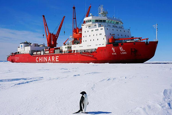 A penguin is seen in front of Chinese icebreaker Xuelong, or Snow Dragon, docked at an ice cover area of the South Pole. The icebreaker is on China's 31st scientific expedition to Antarctica. (Photo from official Weibo of CCTV) A penguin is seen in front of Chinese icebreaker Xuelong, or Snow Dragon, docked at an ice cover area of the South Pole. The icebreaker is on China's 31st scientific expedition to Antarctica. (Photo from official Weibo of CCTV)