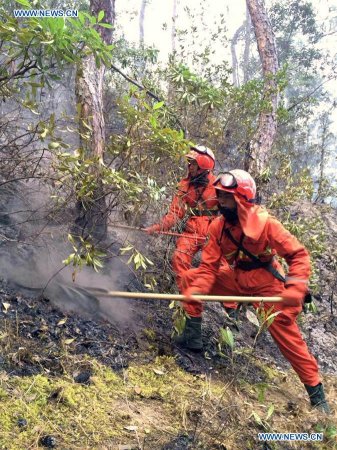 Firefighters extinguish a forest fire in Liangmei Village of Shangri-la in Tibetan Autonomous Prefecture of Deqen, southwest China's Yunnan Province, Feb. 15, 2016. (Photo: Xinhua/Feng Lun) Firefighters extinguish a forest fire in Liangmei Village of Shangri-la in Tibetan Autonomous Prefecture of Deqen, southwest China's Yunnan Province, Feb. 15, 2016. (Photo: Xinhua/Feng Lun)