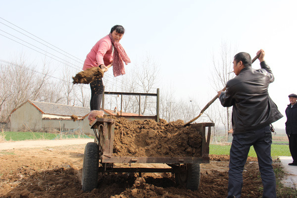 Zhu Yingqin and her husband Cui Liangjun work to level an open space behind their house in Hegang village, Changfeng county, Anhui province.(Photo by Zhu Lixin/China Daily) Zhu Yingqin and her husband Cui Liangjun work to level an open space behind their house in Hegang village, Changfeng county, Anhui province.(Photo by Zhu Lixin/China Daily)