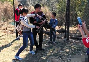 Several tourists hold a peacock at a wildlife park on the outskirts of Kunming, southwest China's Yunnan Province. (Photo/Sina Weibo) Several tourists hold a peacock at a wildlife park on the outskirts of Kunming, southwest China's Yunnan Province. (Photo/Sina Weibo)