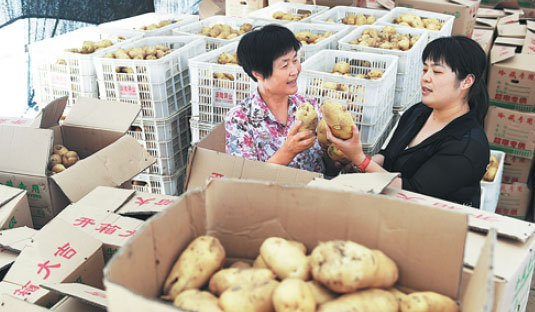 A potato merchant (right) checks produce in Zouping county, Shandong province, in July. Dong Naide / For China Daily A potato merchant (right) checks produce in Zouping county, Shandong province, in July. Dong Naide / For China Daily