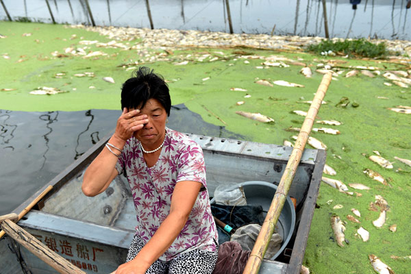 A fisherman's wife wipes away tears on a boat on Tuohu Lake in Wuhe county, Anhui province, as thousands of fish killed by pollution float on the surface of the water. (Photo/Xinhua) A fisherman's wife wipes away tears on a boat on Tuohu Lake in Wuhe county, Anhui province, as thousands of fish killed by pollution float on the surface of the water. (Photo/Xinhua)
