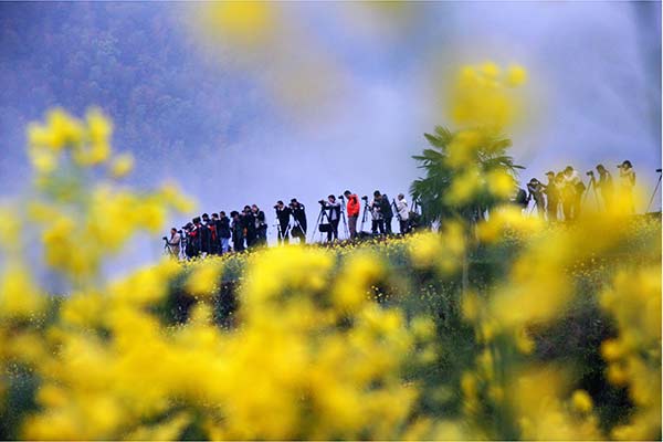 The county of Wuyuan in Jiangxi province attracts tourists from around the country for the blooming rapeseed in spring, and a variety of cultural and natural spots. The county of Wuyuan in Jiangxi province attracts tourists from around the country for the blooming rapeseed in spring, and a variety of cultural and natural spots.