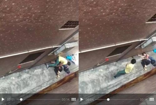 Stills of the footage (Photo/People's Daily Online) Stills of the footage (Photo/People's Daily Online)