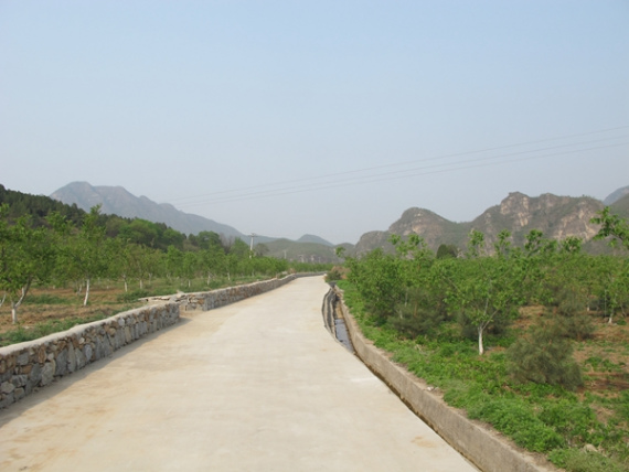 A newly-built road winds through a walnut plantation in Tiangang village, Angezhuang township, Yixian county, Hebei province, on April 27, 2016. (Photo by Wu Yan/chinadaily.com.c) A newly-built road winds through a walnut plantation in Tiangang village, Angezhuang township, Yixian county, Hebei province, on April 27, 2016. (Photo by Wu Yan/chinadaily.com.c)