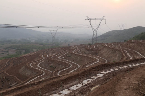 A view of a modern agricultural plantation in Xiahuanghao, Lianggezhuang township, Yixian county, Hebei province, on April 27, 2016. (Photo provided to chinadaily.com.cn) A view of a modern agricultural plantation in Xiahuanghao, Lianggezhuang township, Yixian county, Hebei province, on April 27, 2016. (Photo provided to chinadaily.com.cn)