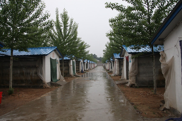 There are 32 rabbit dorms in the farm. (Photo by Li Jia provided to chinadaily.com.cn) There are 32 rabbit dorms in the farm. (Photo by Li Jia provided to chinadaily.com.cn)